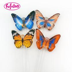 Sugar Free Printed Lollipops with Picture Wholesale Supplier | Sugar Free Factory